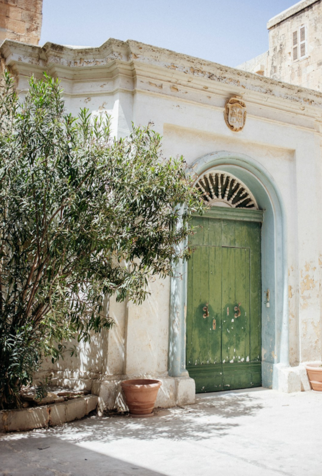 Trésors olfactifs de Méditerranée : Safran, Oud, Cèdre et agrumes rares